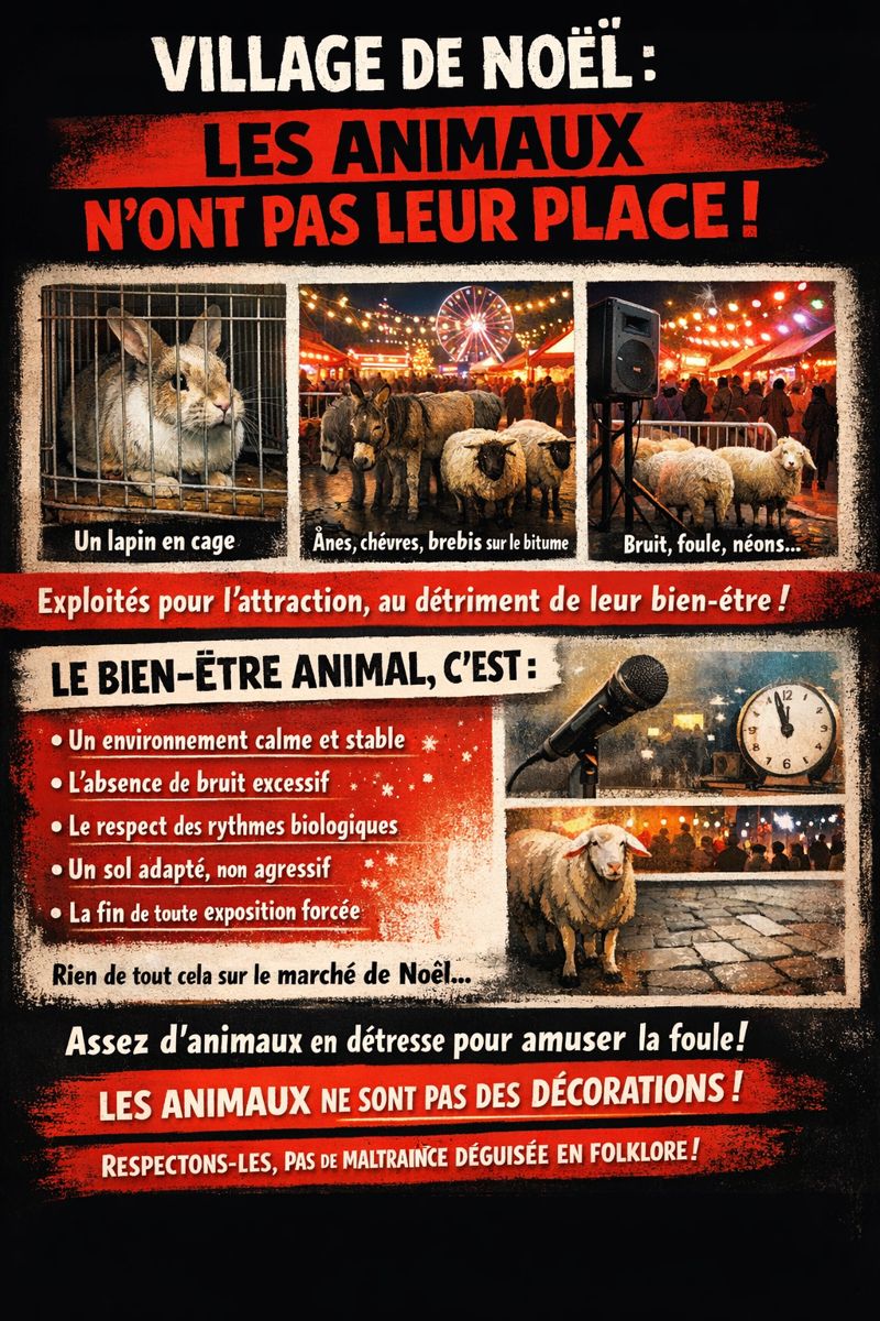 Non à la maltraitance animale